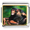 Funny Monkey Photo Italian Charm