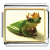 Frog Prince Photo Italian Charm