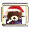 Teddy Bear Present Photo Italian Charm
