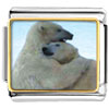 Polar Bear Hug Photo Italian Charm