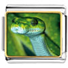 Green Snake Photo Italian Charm