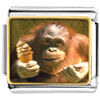 Ice Cream Chimpanzee Photo Italian Charm