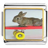  Bunny  Skateboarder Photo Italian Charm