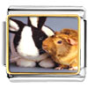 Bunny And Guinea Pig Photo Italian Charm