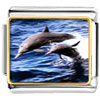 Dolphin Family Photo Italian Charm