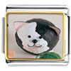 Puffball Black White Cat Photo Italian Charm