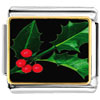Holly Leaf Photo Italian Charm