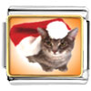  Christmas  Cat Photo Italian Charm