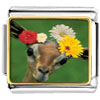 Doe With Flowers  Photo  Italian  Charm 