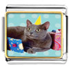  Birthday  Cat Photo Italian Charm
