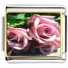 Dusty Pink Roses Photo Italian Charm