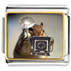 Squirrel Taking Photos Italian Charm