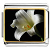 White Lily Photo Italian Charm