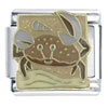 Cancer Wave Crab X2 Italian Charm