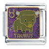 Baby Taurus X2 Italian Charm