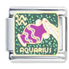 Baby Aquarius X2 Italian Charm
