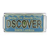 License Plate South Carolina X2 Italian Charm