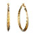 Pretty Double Golden Hoop Earrings
