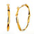 Classic Golden Hoop Earrings