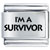 A SURVIVOR 