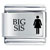 BIG SIS 