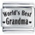 Family World'S Best Grandma Laser Italian Charm Bracelets