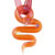 Bright Orange Snake Murano Pendant