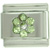 August Peridot Color Flower Birthstone