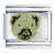 PUG FACE 