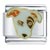 Bull Terrier Italian Charm