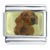 Dachshund Dog Photo Italian Charm