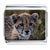 CUB FACE 