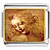 VINCI PICTURE 