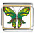 Exotic Green Butterfly Photo Italian Charm