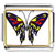 Blue Red & Yellow Butterfly Photo Italian Charm