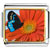 Butterfly And Flower Photo Italian Charm