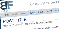 blogflavr Portfolio