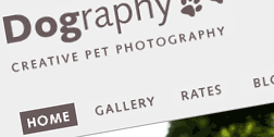 dography Portfolio